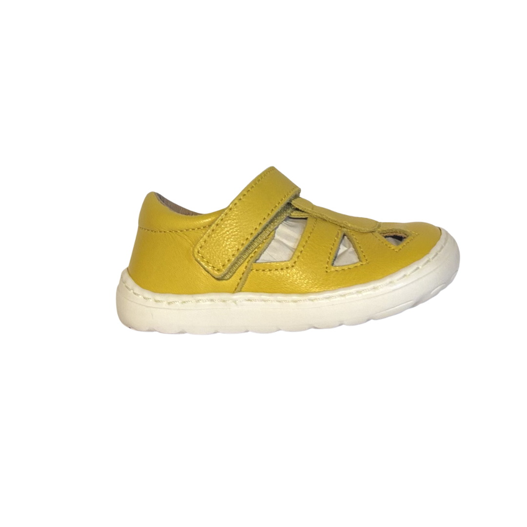 Petasil Boris - Yellow Savana