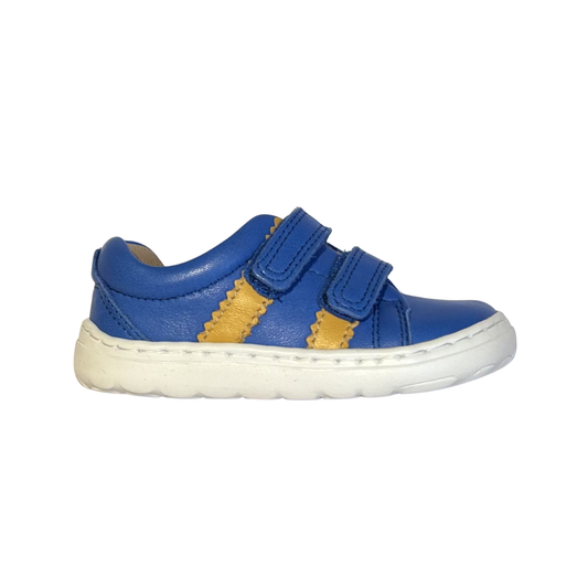 Petasil Park in Cobalt/Mango